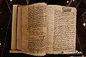 VBS_2974