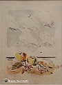 VBS_7951