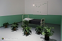 VBS_2690