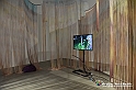 VBS_5175