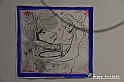 VBS_5177
