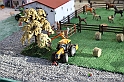 IMG_2531