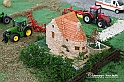 IMG_2537