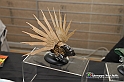IMG_2710