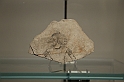 Egizio_227