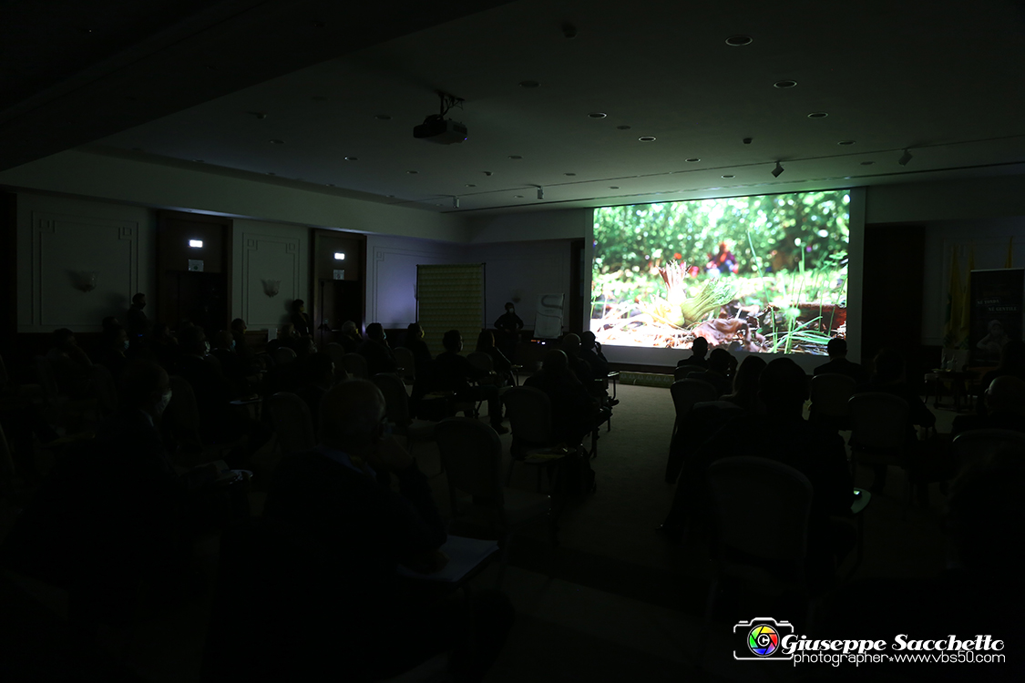 VBS_4064.jpg
