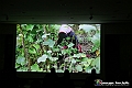 VBS_4068