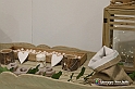 VBS_3281