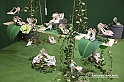 VBS_3377