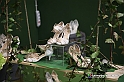 VBS_3379