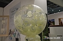VBS_3430