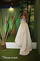VBS_3447