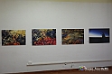 VBS_0155