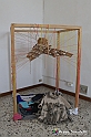 VBS_0200
