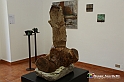 VBS_0221