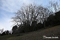 VBS_1611