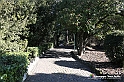 VBS_1667