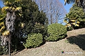 VBS_1681
