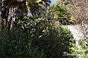 VBS_1682