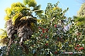VBS_1685