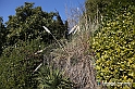 VBS_1688