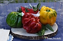 VBS_5447