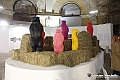 VBS_6276_1