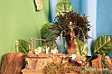 VBS_9363