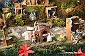 VBS_9375
