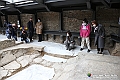 VBS_3838