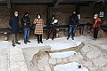 VBS_3914