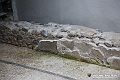 VBS_3916