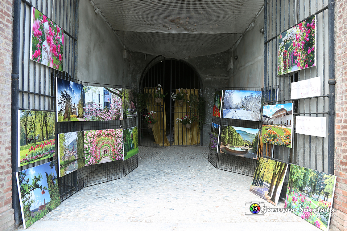 VBS_9969.jpg