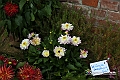 VBS_0045