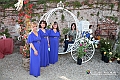 VBS_0175