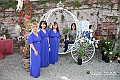 VBS_0176