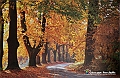 VBS_9880