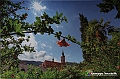 VBS_9893