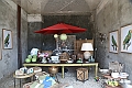VBS_9895