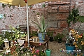 VBS_9899