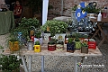 VBS_9929