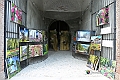 VBS_9969