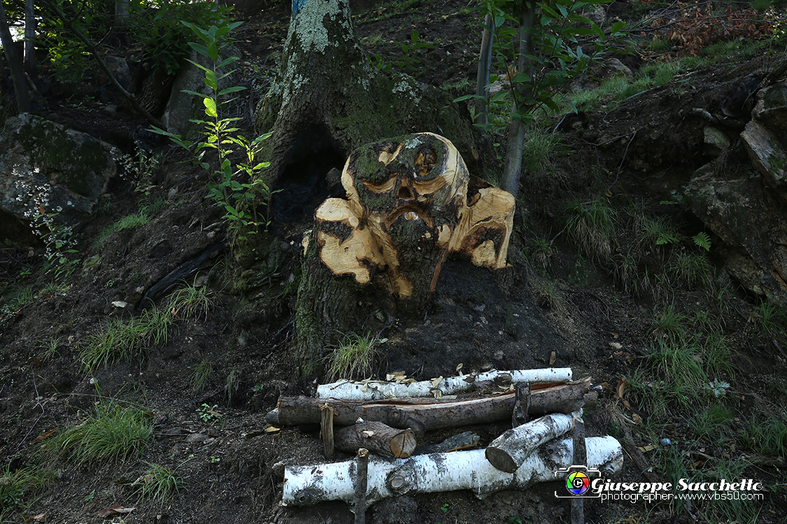 VBS_7088.JPG - Sculture al Sacro Monte di Belmonte
