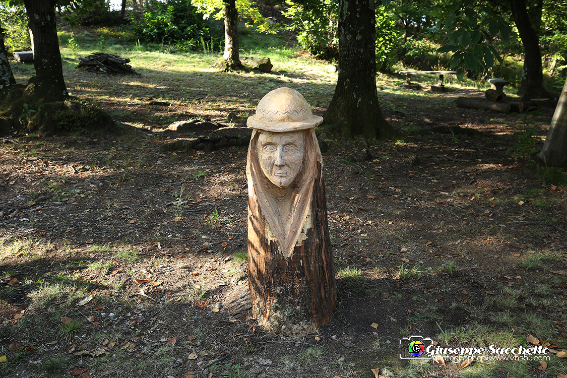 VBS_7133.JPG - Scultura in legno al Sacro Monte di Belmonte