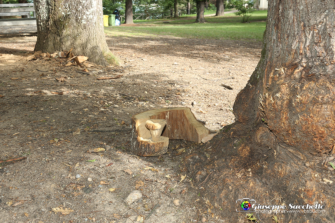 VBS_7250.JPG - Sacro Monte di Belmonte Scultura in legno