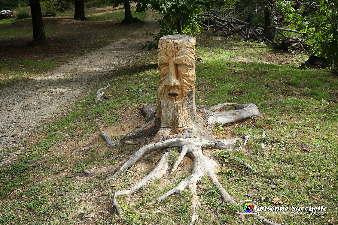 VBS_7253.JPG - Sacro Monte di Belmonte Scultura in legno