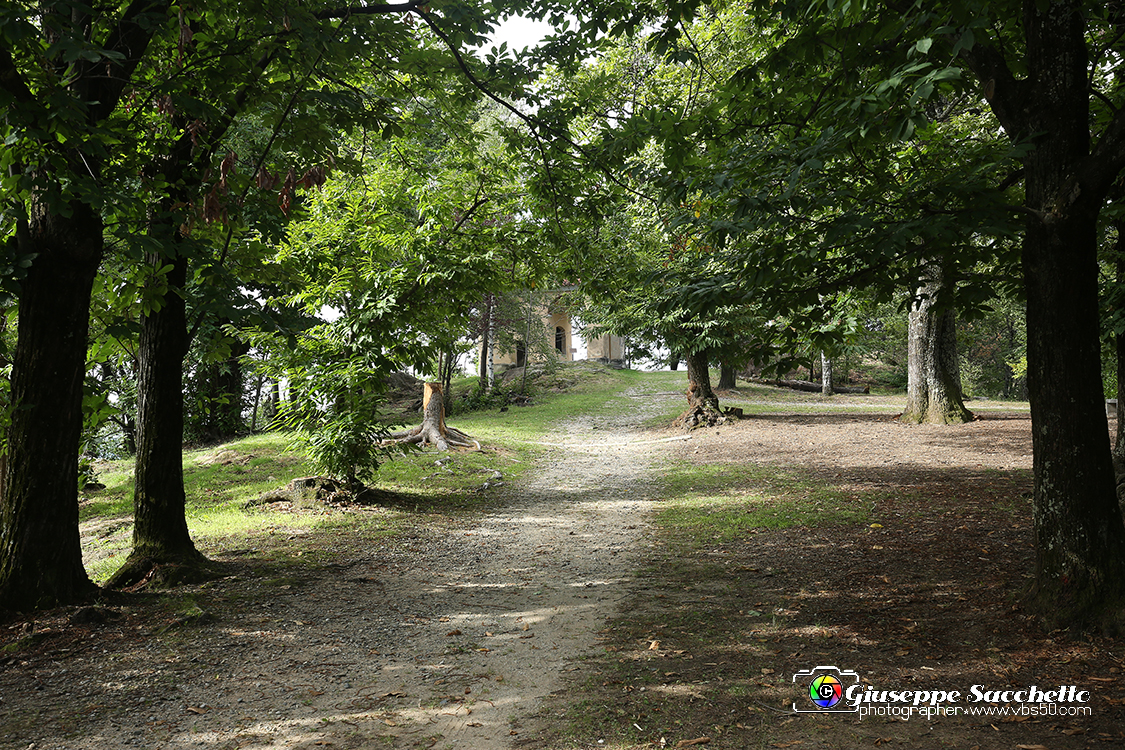 VBS_7259.JPG - Cappella 9 - Terza caduta di Gesù