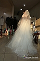 VBS_5502
