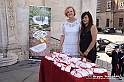 VBS_4767