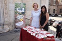 VBS_4768